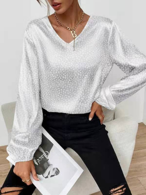 Plus Size Women's Loose Leopard Tops Ladies Long Sleeve Pullover T-Shirts Blouse