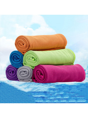 Instant Cooling Towel Sports Drying Sweat Gym Microfibre Absorb Dry & Case
